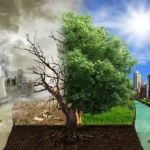 Climate Crisis Nearing Point of No Return, Scientists Urge Immediate Global Action