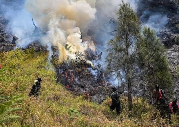 Indonesia Closes Mount Bromo National Park as Wildfire Spreads