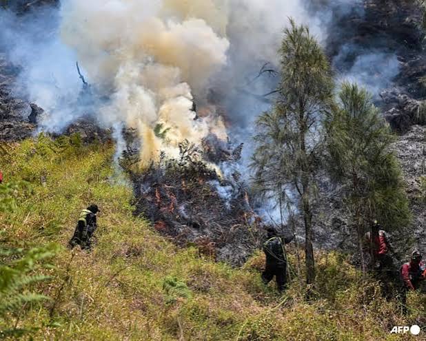Indonesia Closes Mount Bromo National Park as Wildfire Spreads