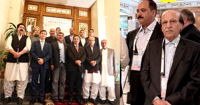 Pakistani Parliamentary Delegation Observes Electoral Process in Russia