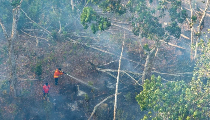 Indonesia Conducts Water Bombing Operation to Contain Wildfires Near Nusantara