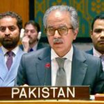 Pakistan Condemns Houthi Attacks on Merchant Shipping, Calls for De-escalation