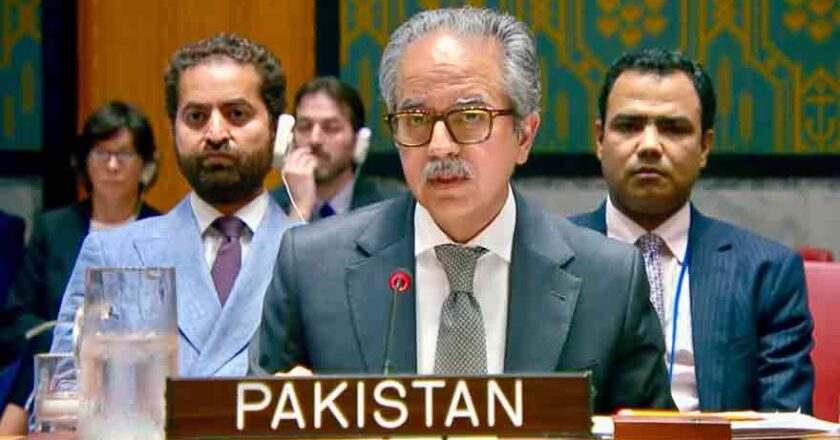 Pakistan Condemns Houthi Attacks on Merchant Shipping, Calls for De-escalation