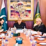 وزیراعظم کی ایندھن سبسڈی ریلیف اسکیم پر عملدرآمد کا جائزہ، اسحاق ڈار کی زیر صدارت اجلاس