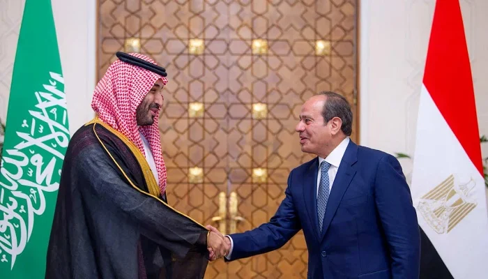 Egypt Pledges Support for Saudi Arabia as Parliament Weighs Military Authorisation