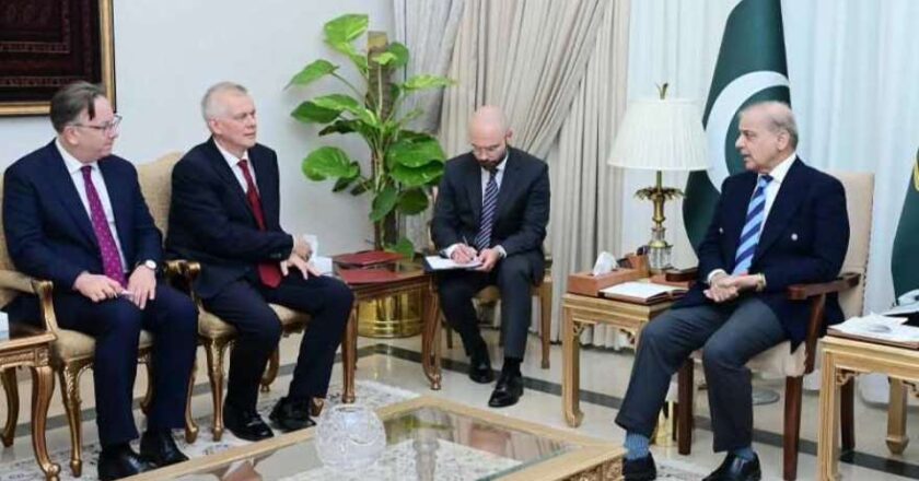وزیراعظم شہباز شریف اور پولش وزیر کے درمیان دوطرفہ تعلقات اور تجارت پر تبادلہ خیال