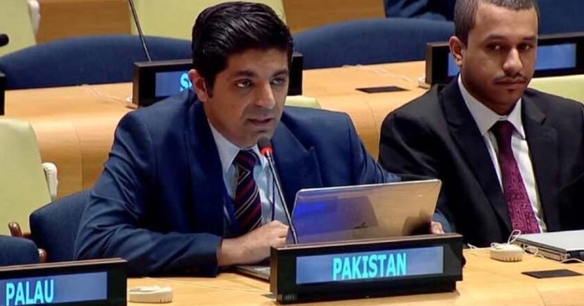 پاکستان کا اقوام متحدہ میں بھارت پر افغان پراکسیز کے ذریعے دہشت گردی کی پشت پناہی کا الزام