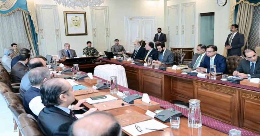 وزیراعظم شہباز شریف کی تمام وفاقی وزارتوں کو متعلقہ ڈیٹا بروقت ڈیجیٹلائز کرنے کی ہدایت