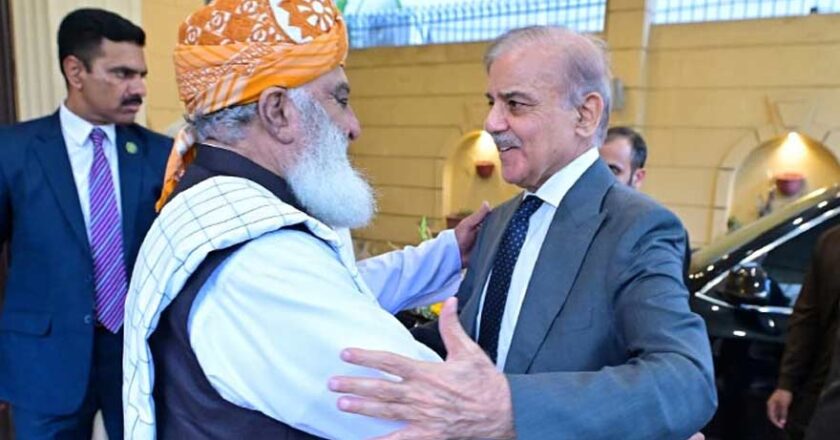 PM Shehbaz Sharif, Maulana Fazlur Rehman Discuss Political Situation, Stress Dialogue