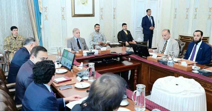 PM Shehbaz Expresses Displeasure Over Slow Progress on Gemstones Pilot Project