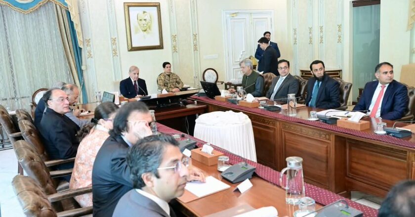 وزیراعظم شہباز شریف کی کاروبار اور سرمایہ کاری کے فروغ کے لیے جامع ریگولیٹری اصلاحات کی ہدایت