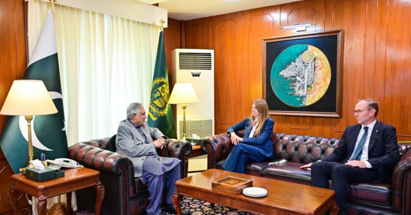 برطانوی ہائی کمشنر جین میریٹ کی نائب وزیراعظم اسحاق ڈار سے ملاقات